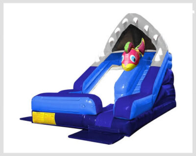 Shark Escape Slide