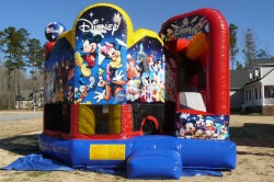 disney 1749600040 World Of Disney Combo C5