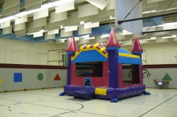 dream20castle20indoors 1749589916 Dream Castle